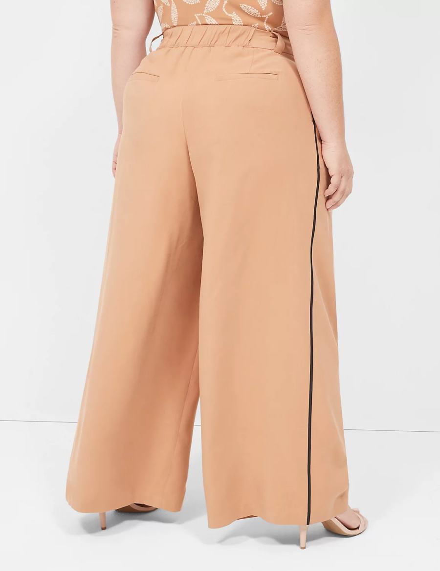 Dámské Kalhoty Lane Bryant Pleated Wide Leg With Side-Trim Hnědé | FHY3750UI