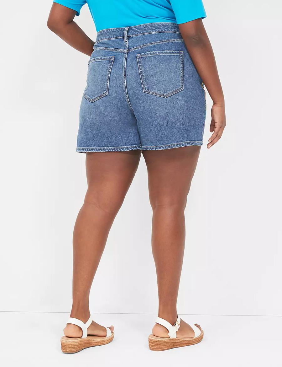 Dámské Kraťasy Lane Bryant Pride Boyfriend Fit Jean With Embroidery Blankyt | QZK5777OM