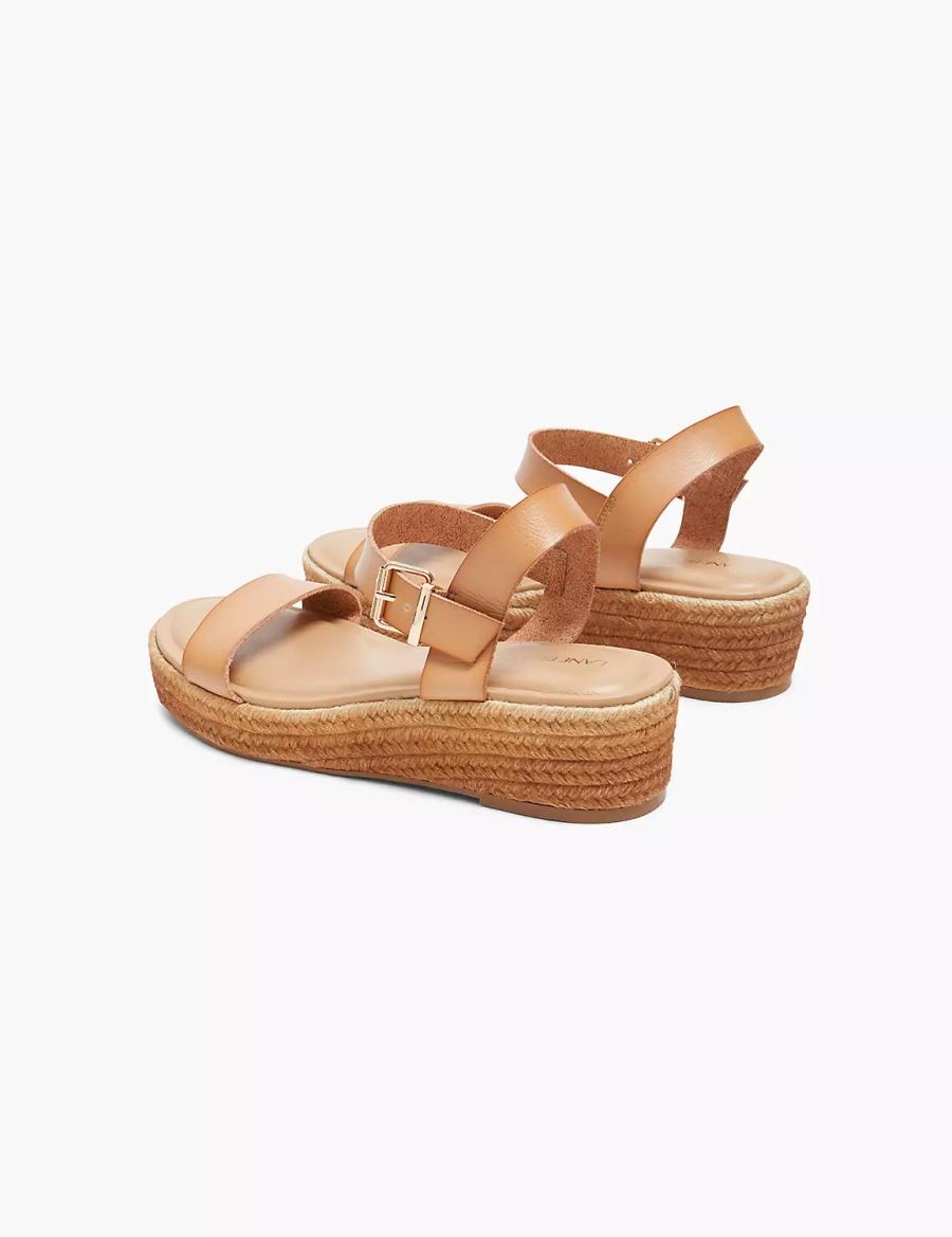 Dámské Sandály na Klínku Lane Bryant Dream Cloud Single-Strap Ombre Espadrille Hnědé | KPD3234ZL